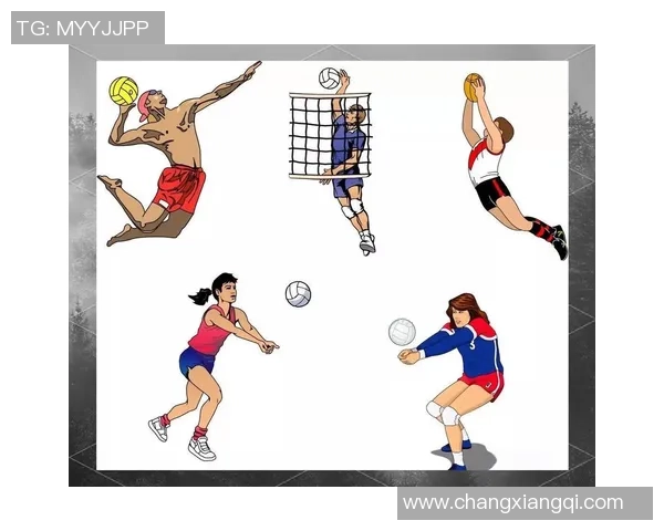 北京排球队反击战术全解析深度剖析排球比赛中的策略与技巧