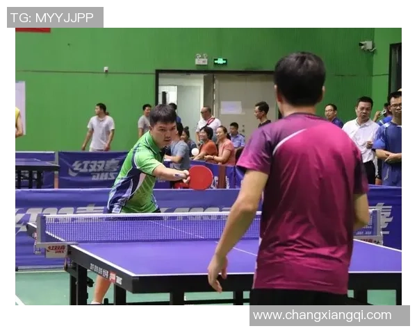 对话陈娜：回顾乒乓球生涯的辉煌与挑战分享