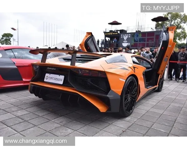 杭州篮球队耐力表现突出创新高引发全城关注与热议 杭州篮球队耐力表现突出创新高引发全城关注与热议