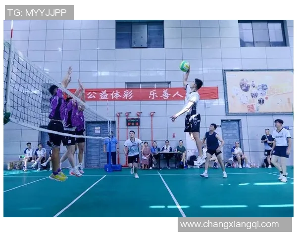 成都排球队杯赛精彩配合展现团队默契与实力提升 成都排球队杯赛精彩配合展现团队默契与实力提升