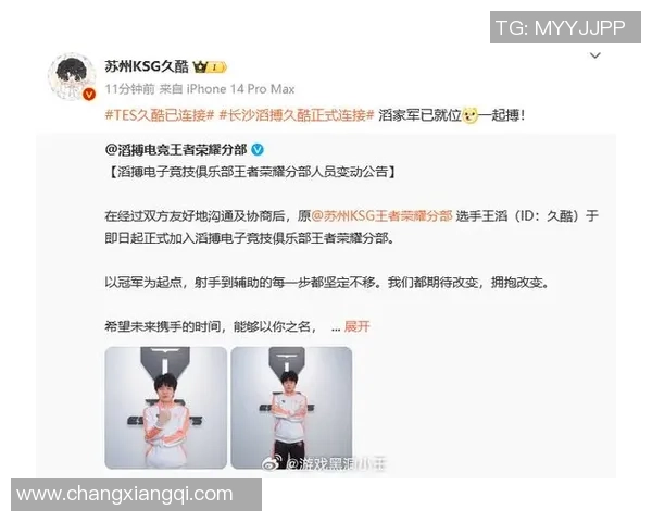 王者荣耀灵活性排名新变化TES战队表现创新高引发热议