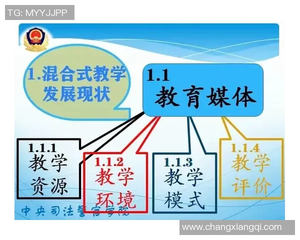 重庆网球队的阵地战革新探索与发展新路径的深度分析与展望